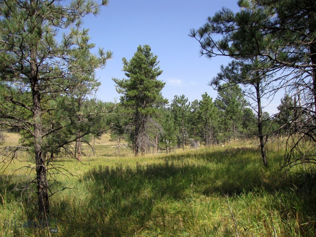 50 Lazy R Way, Roundup MT 59072