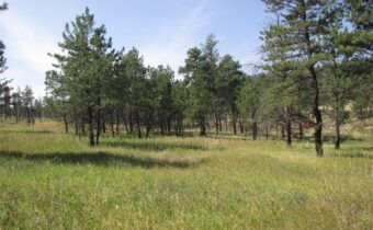 50 Lazy R Way, Roundup MT 59072