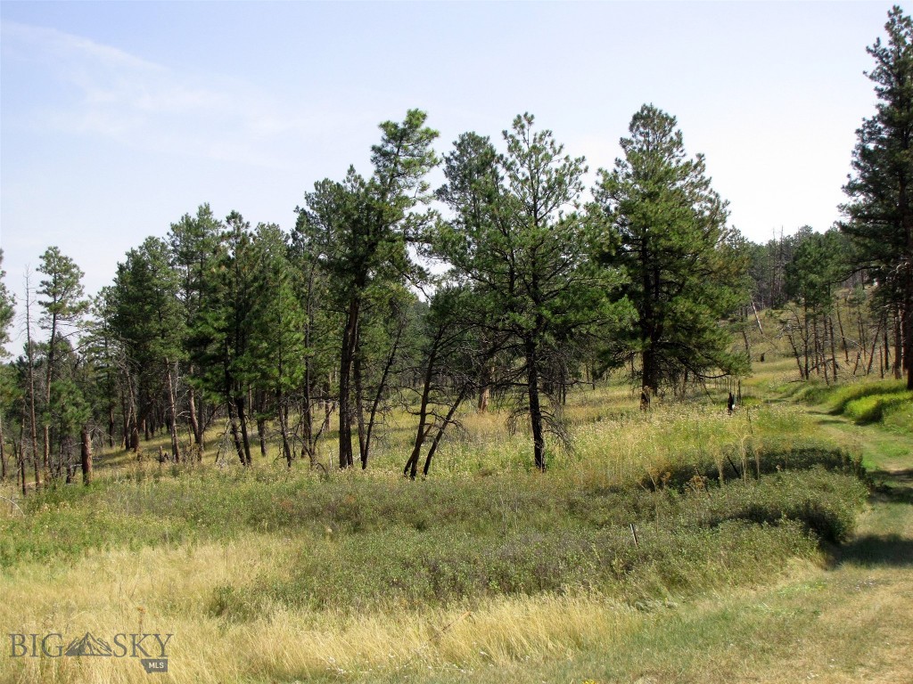 50 Lazy R Way, Roundup MT 59072