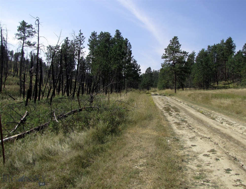 50 Lazy R Way, Roundup MT 59072