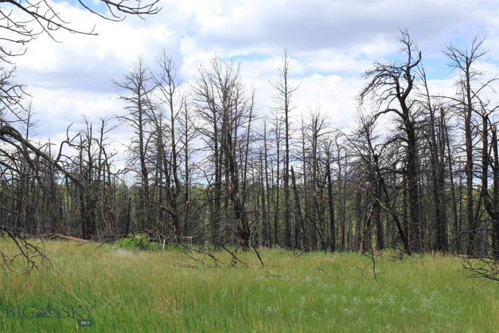 50 Lazy R Way, Roundup MT 59072