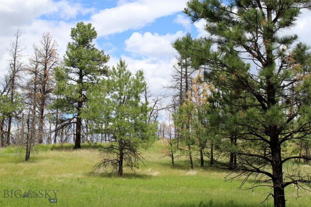 50 Lazy R Way, Roundup MT 59072