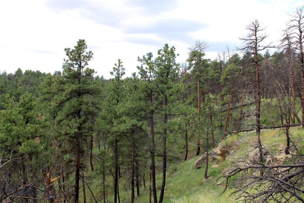 50 Lazy R Way, Roundup MT 59072