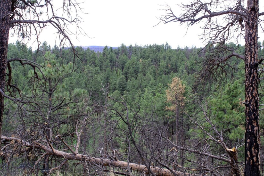 50 Lazy R Way, Roundup MT 59072