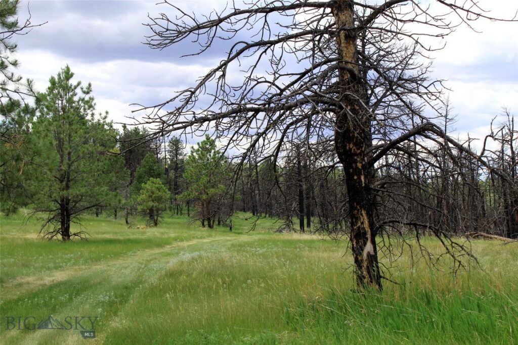 50 Lazy R Way, Roundup MT 59072