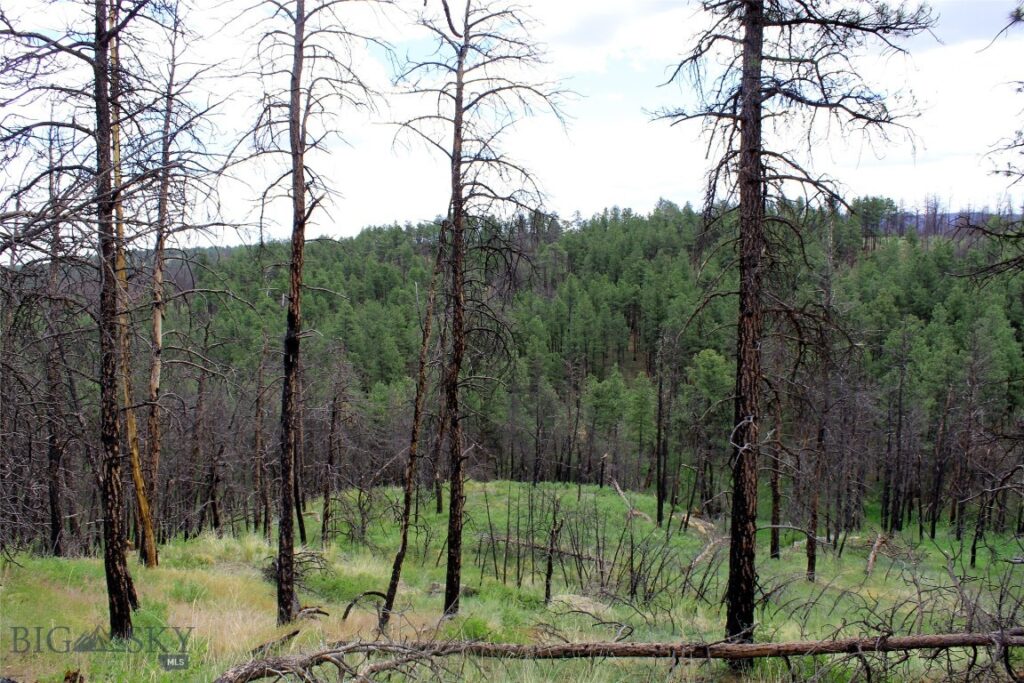 50 Lazy R Way, Roundup MT 59072