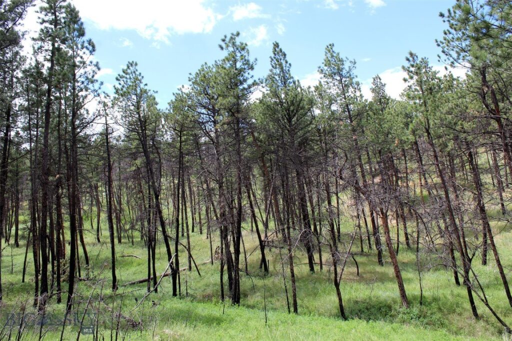 50 Lazy R Way, Roundup MT 59072