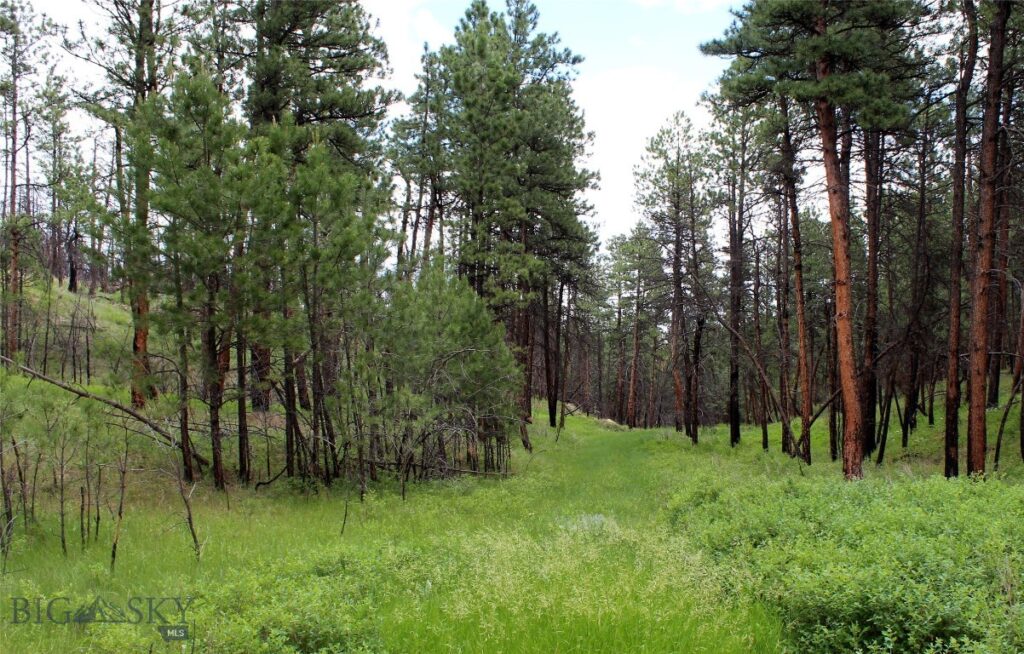 50 Lazy R Way, Roundup MT 59072