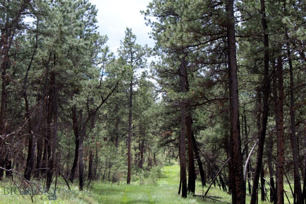 50 Lazy R Way, Roundup MT 59072