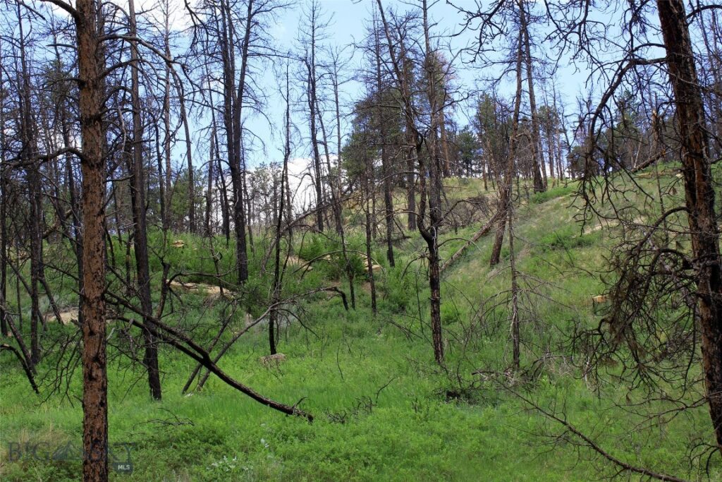 50 Lazy R Way, Roundup MT 59072