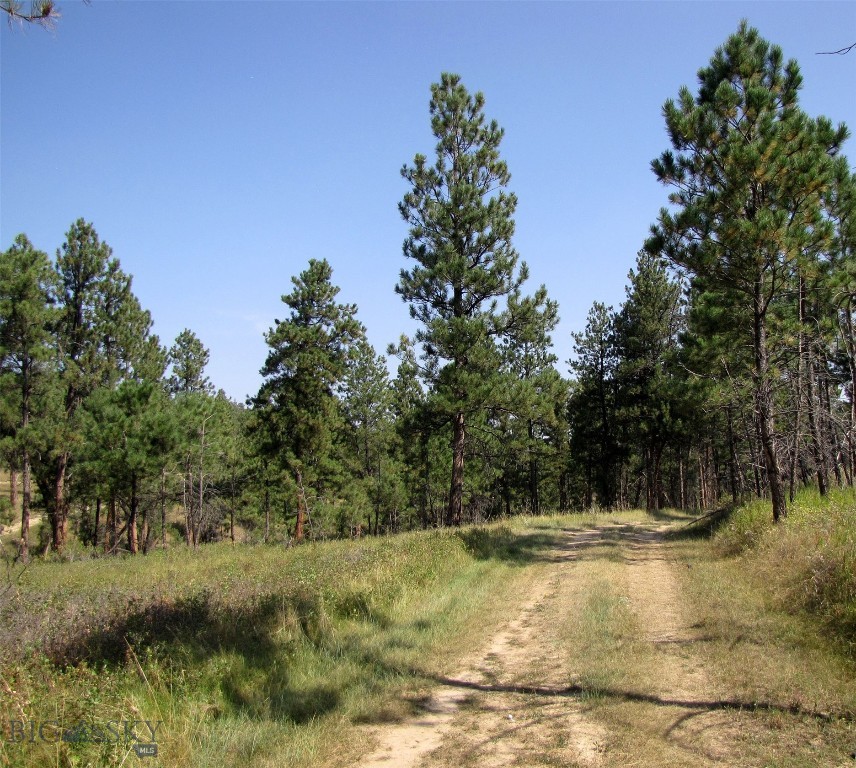 50 Lazy R Way, Roundup MT 59072