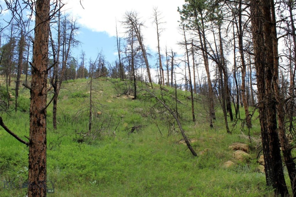 50 Lazy R Way, Roundup MT 59072