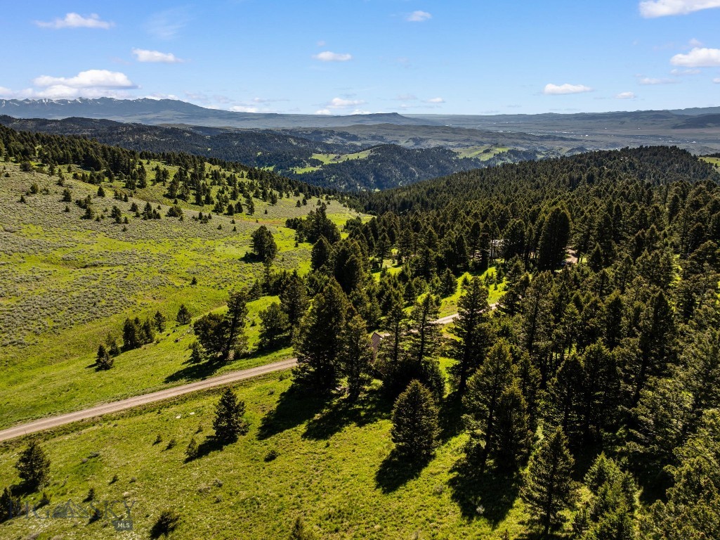 502 Quinn Creek Road, Bozeman MT 59715