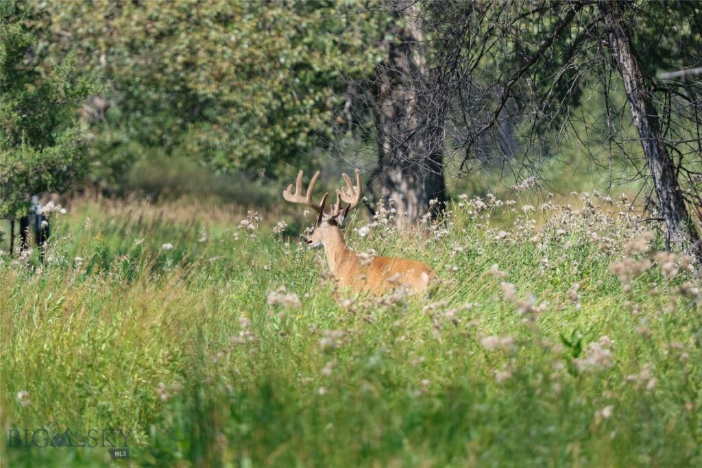 5191 Old Yellowstone Trail, Three Forks MT 59752