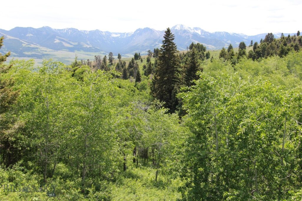 524 Grizzly Meadow Road, Emigrant MT 59027