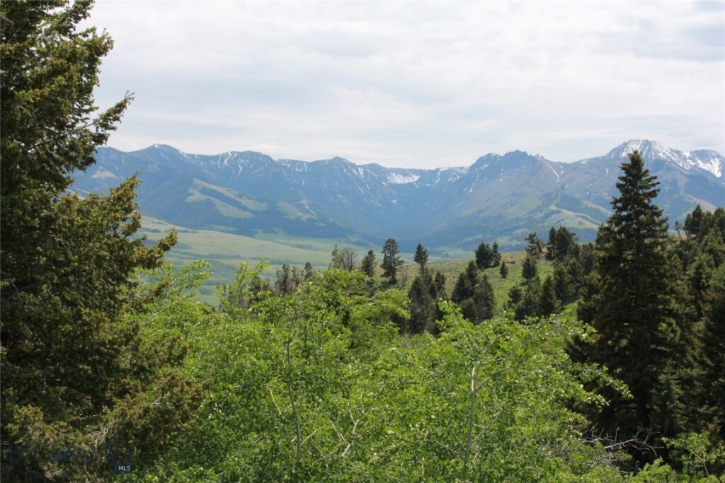 524 Grizzly Meadow Road, Emigrant MT 59027