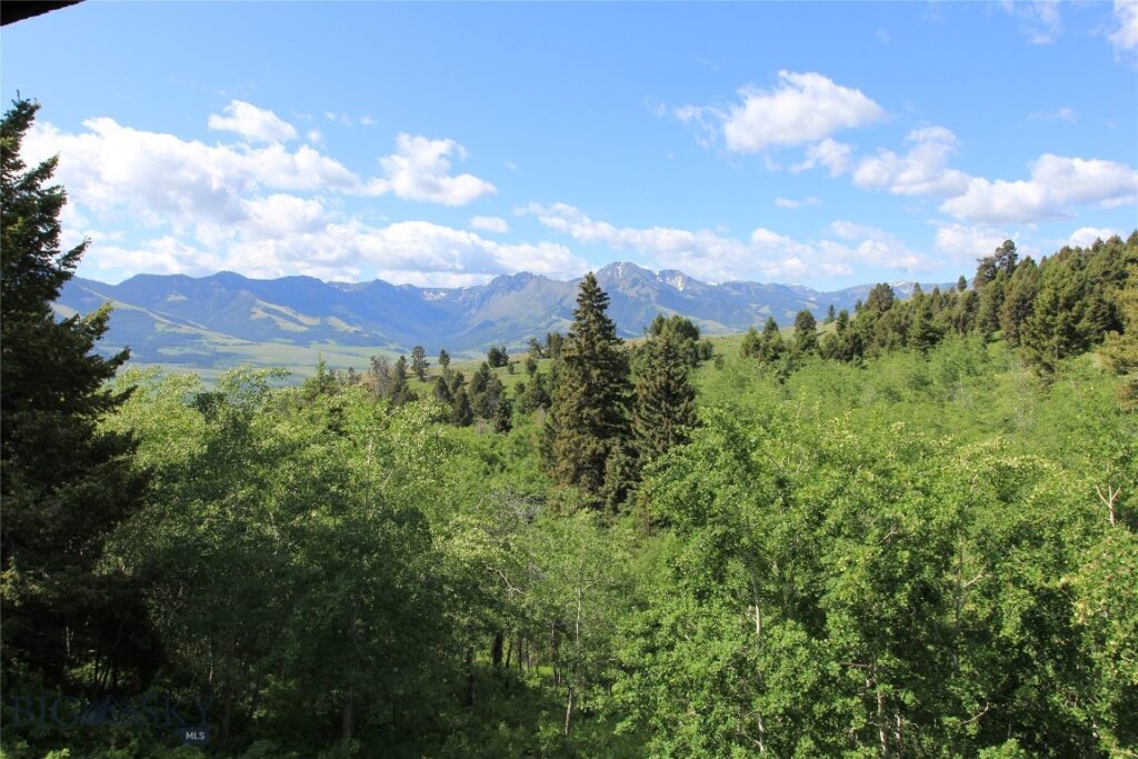 524 Grizzly Meadow Road, Emigrant MT 59027