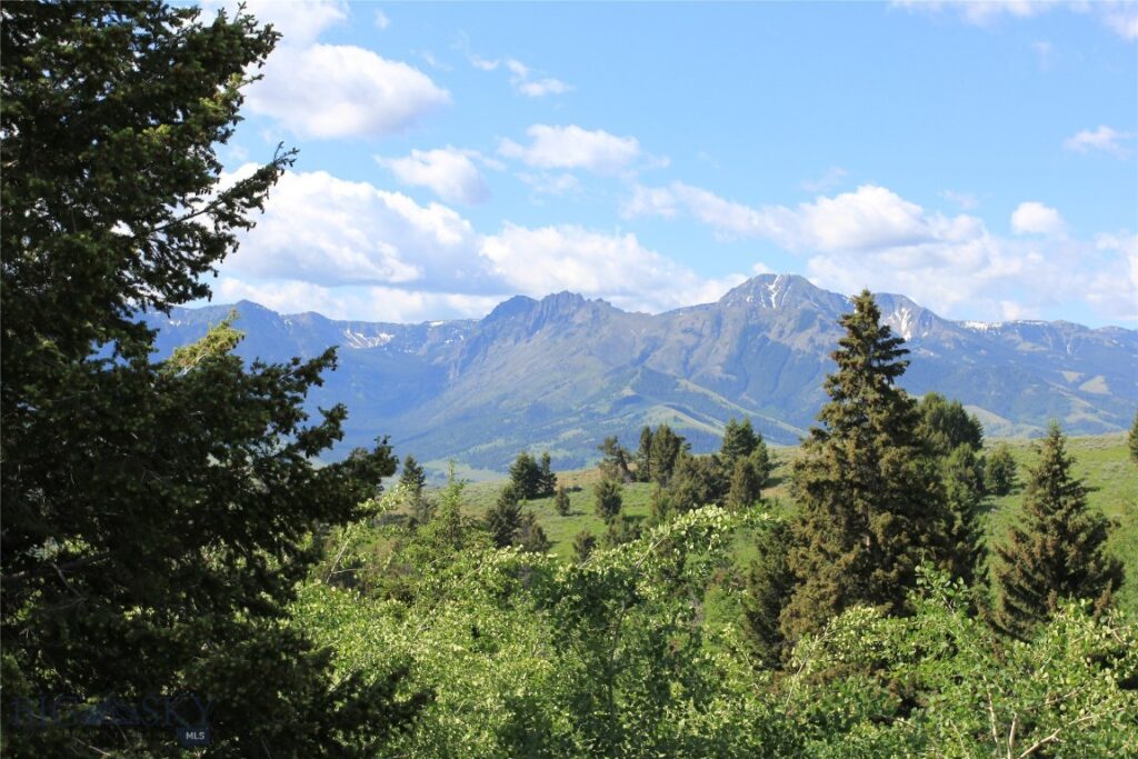524 Grizzly Meadow Road, Emigrant MT 59027