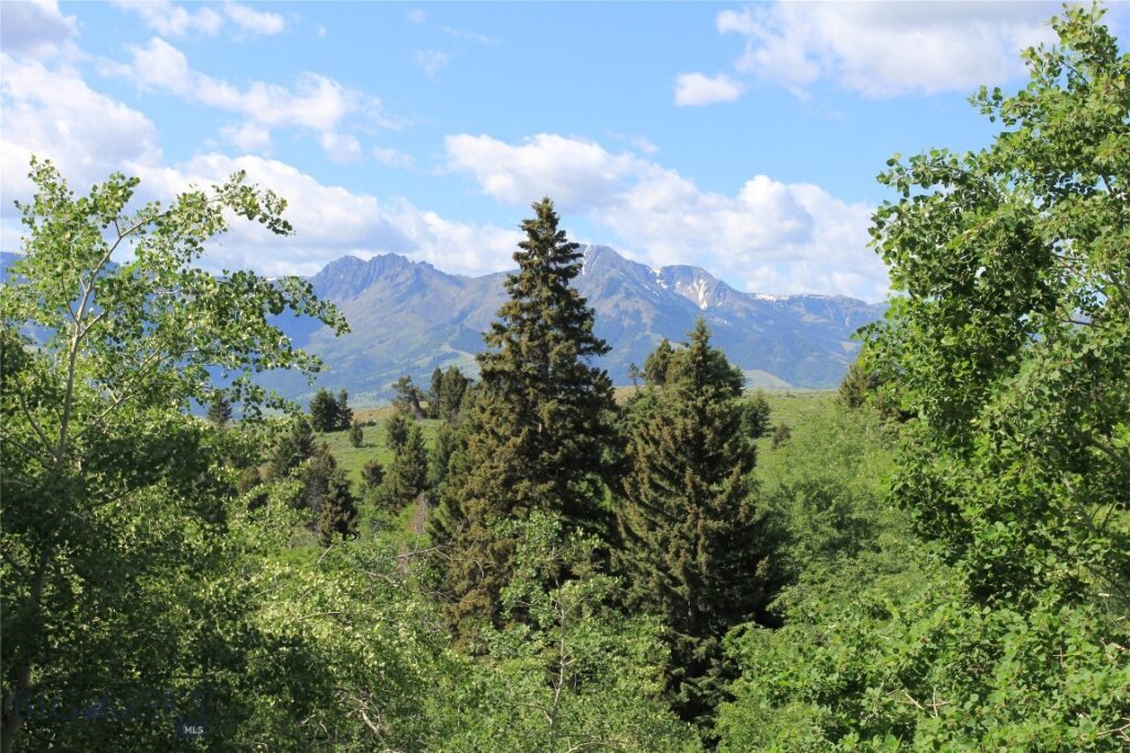 524 Grizzly Meadow Road, Emigrant MT 59027