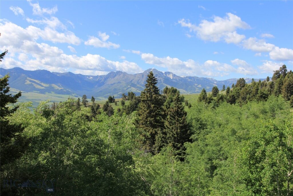 524 Grizzly Meadow Road, Emigrant MT 59027