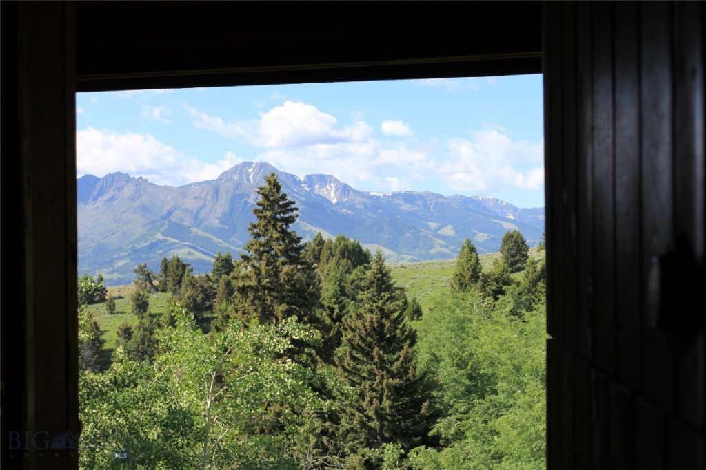 524 Grizzly Meadow Road, Emigrant MT 59027
