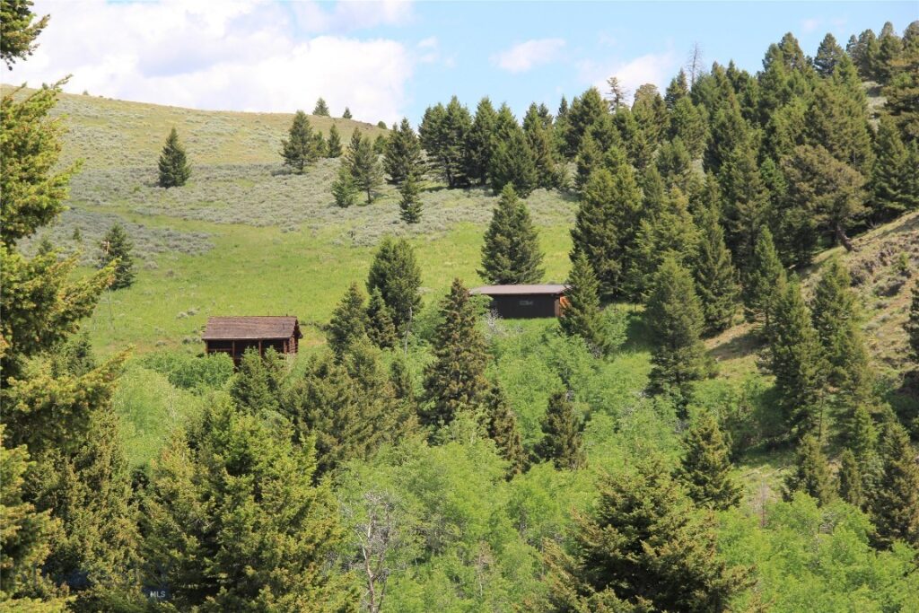 524 Grizzly Meadow Road, Emigrant MT 59027