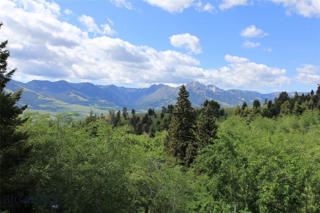 524 Grizzly Meadow Road, Emigrant MT 59027