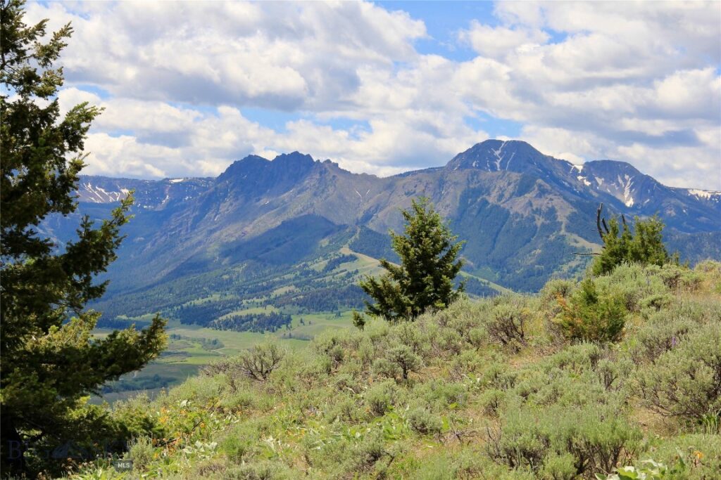 524 Grizzly Meadow Road, Emigrant MT 59027