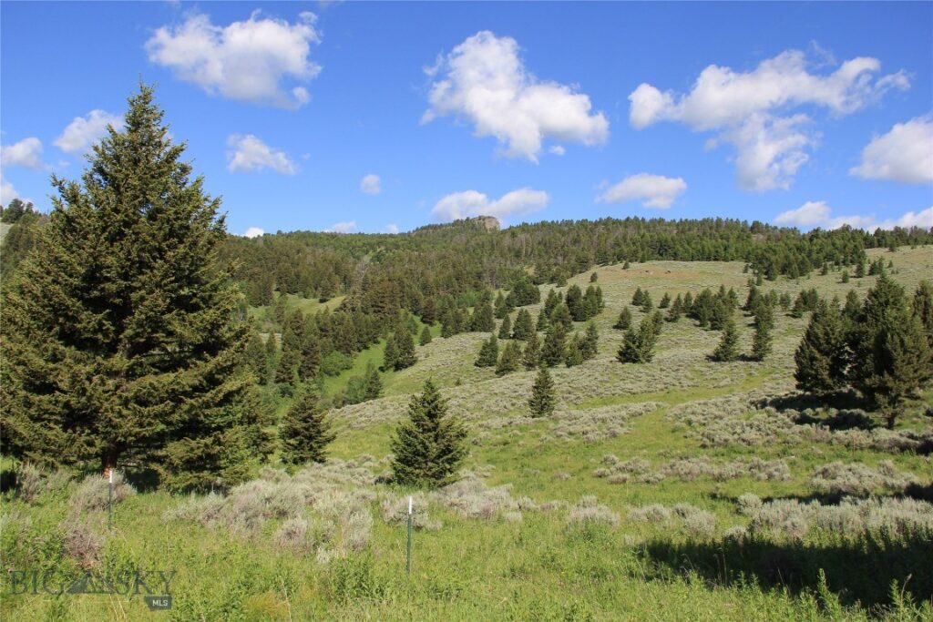 524 Grizzly Meadow Road, Emigrant MT 59027
