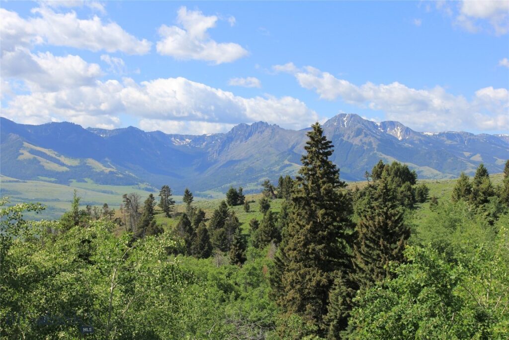 524 Grizzly Meadow Road, Emigrant MT 59027
