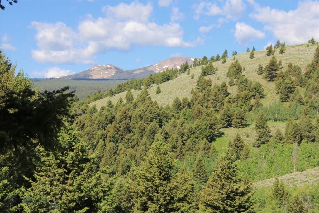 524 Grizzly Meadow Road, Emigrant MT 59027