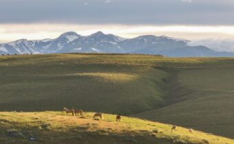 581 Willow Creek Road, Red Lodge MT 59068