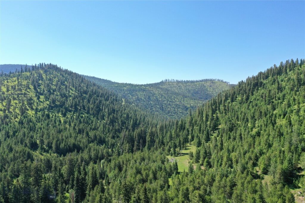 6 Tract, Garnet Range, Drummond MT 59832