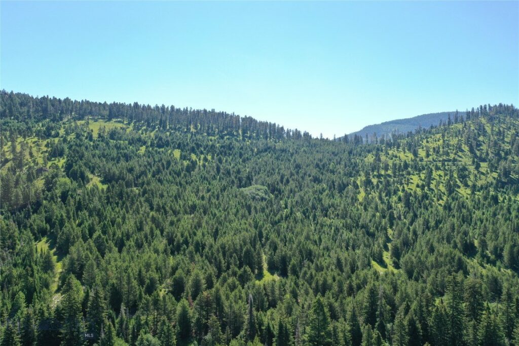 6 Tract, Garnet Range, Drummond MT 59832