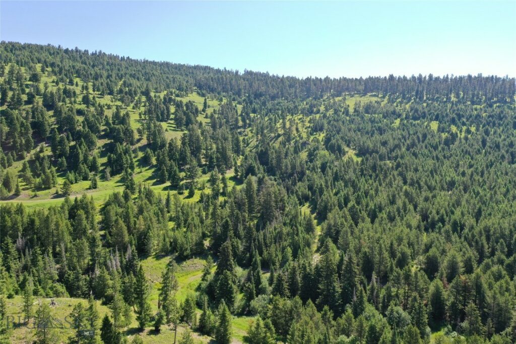 6 Tract, Garnet Range, Drummond MT 59832