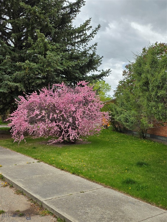 606 S Arizona, Dillon MT 59725