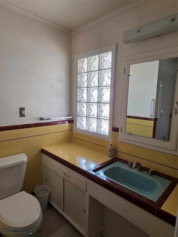 606 S Arizona, Dillon MT 59725