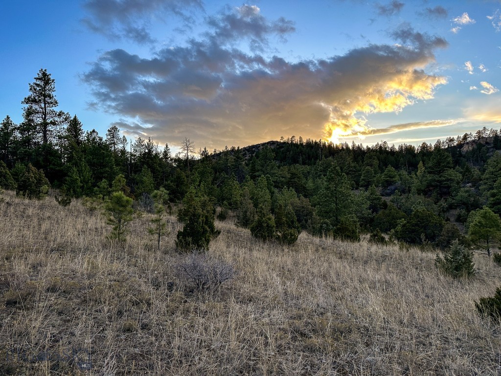 6245 McGee Lane, Helena MT 59602