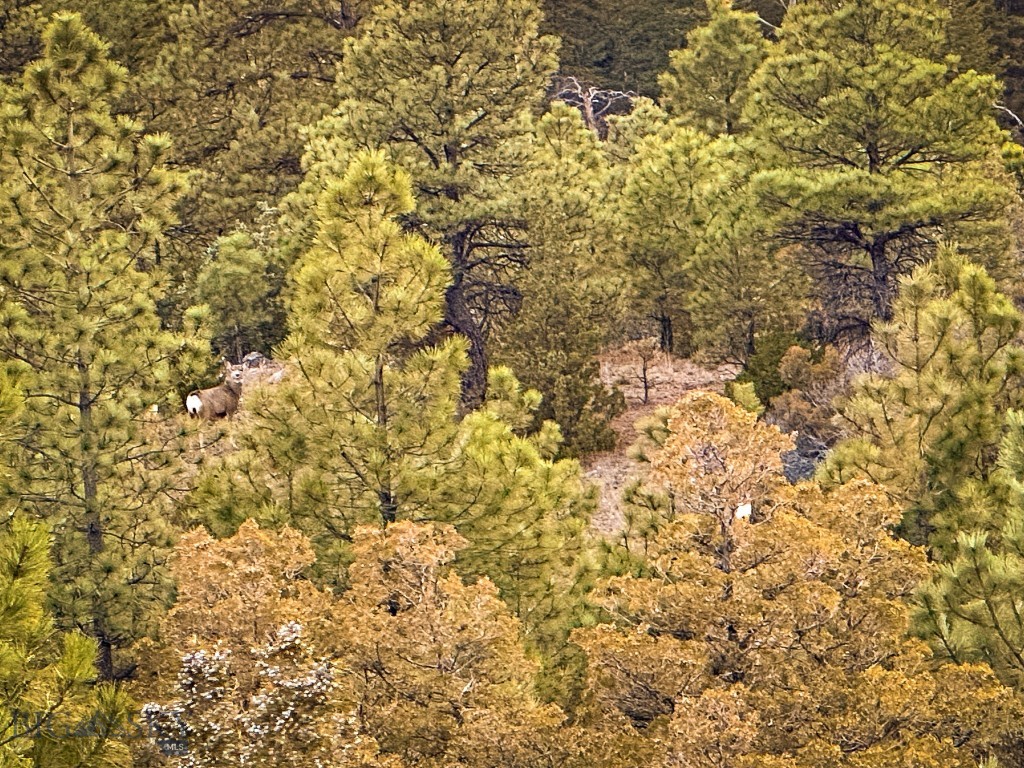 6245 McGee Lane, Helena MT 59602