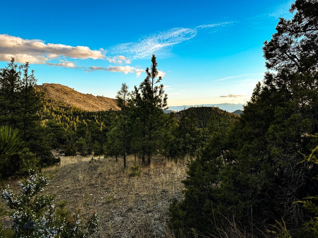 6245 McGee Lane, Helena MT 59602