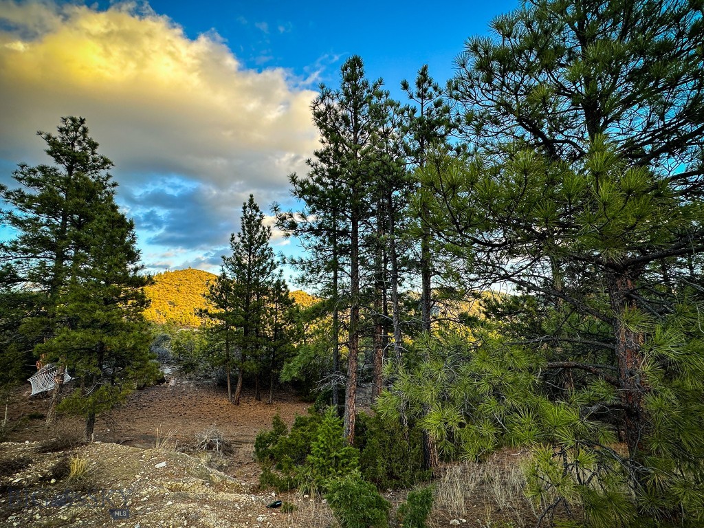 6245 McGee Lane, Helena MT 59602