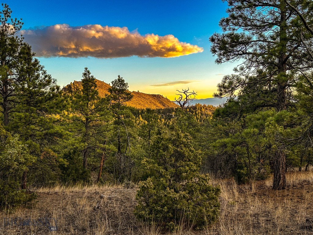 6245 McGee Lane, Helena MT 59602