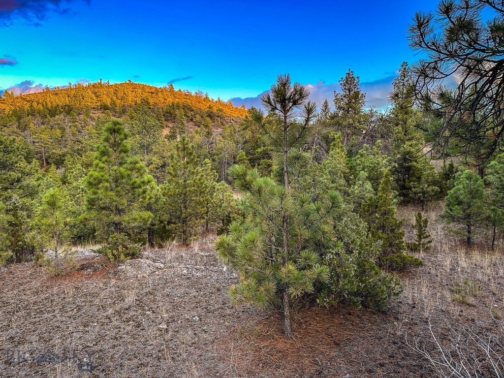 6245 McGee Lane, Helena MT 59602