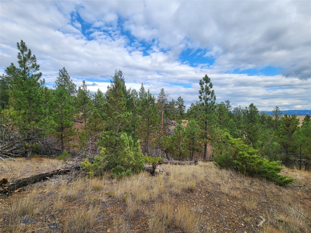 6325 Threemile Road, Helena MT 59602