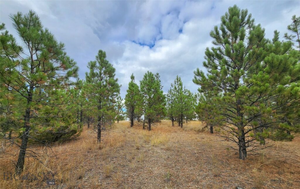 6325 Threemile Road, Helena MT 59602