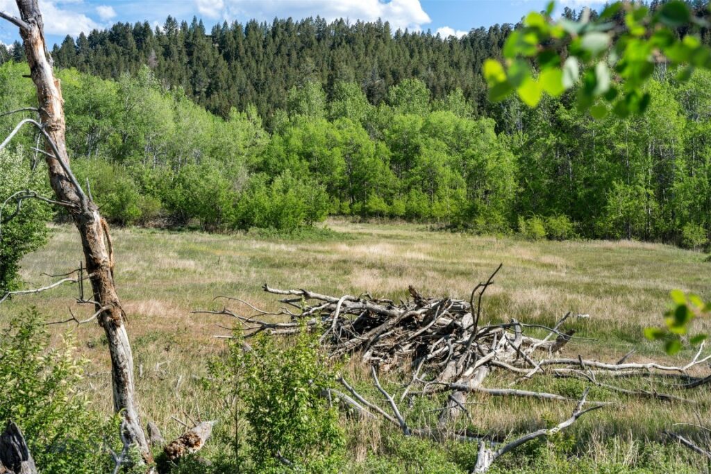 642 Deer Haven Drive, Deer Lodge MT 59722