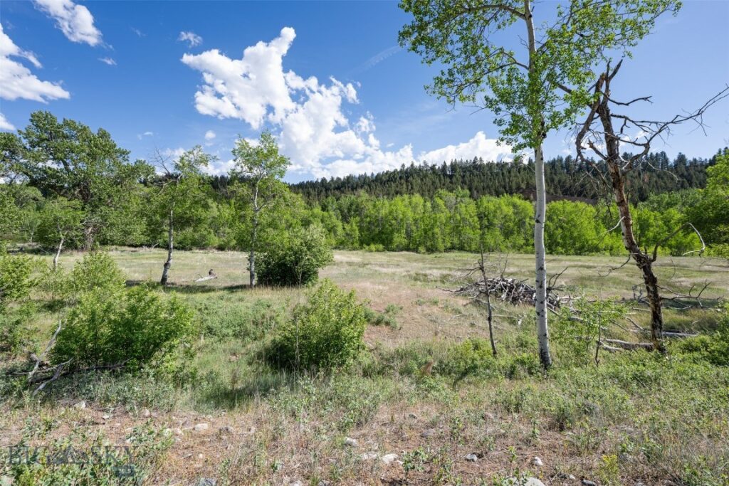 642 Deer Haven Drive, Deer Lodge MT 59722