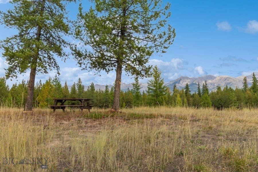 645 Glacier-Elk Road, Condon MT 59826