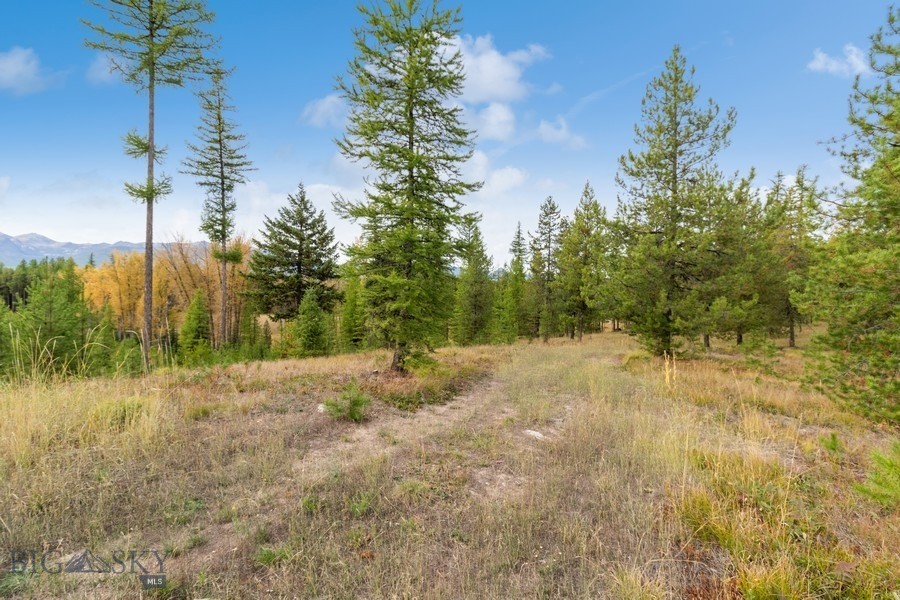 645 Glacier-Elk Road, Condon MT 59826