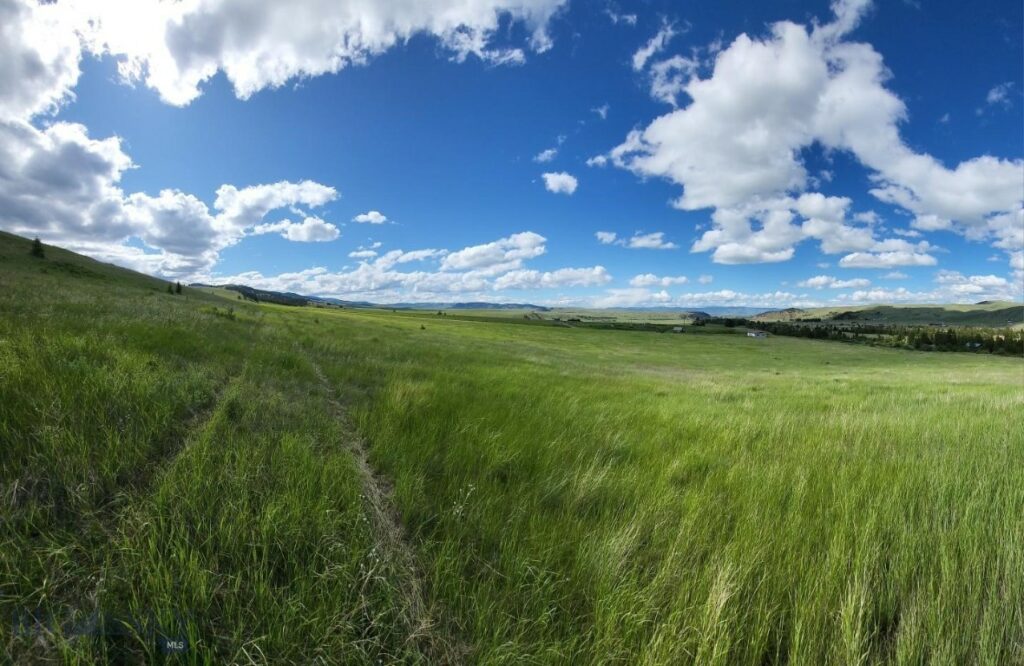 65 Gold Coin Road, Hall MT 59837